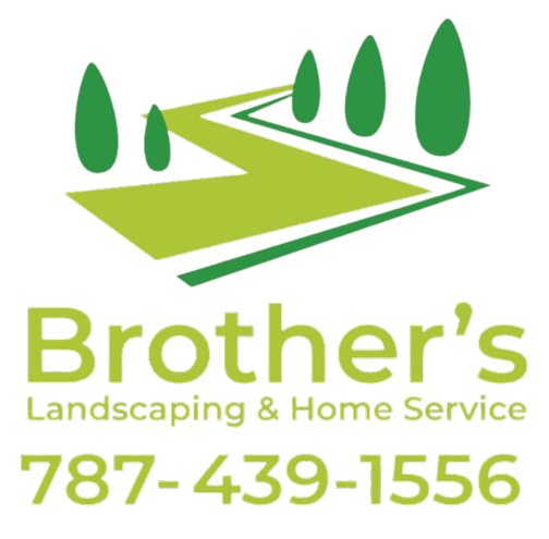 Brother Landscape